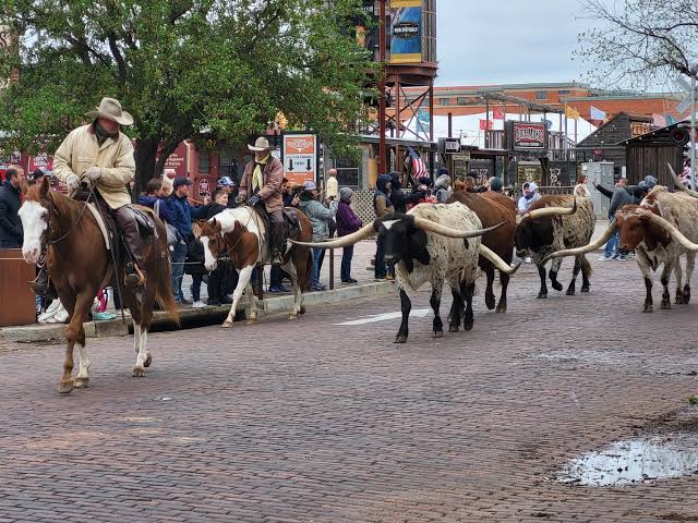 Beyond The Stockyards: Unique Places To Explore In Fort Worth, TX